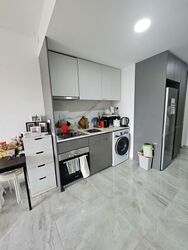 Affinity At Serangoon (D19), Apartment #567637851